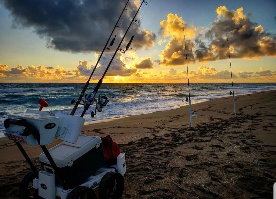 Seamule Beach Cart