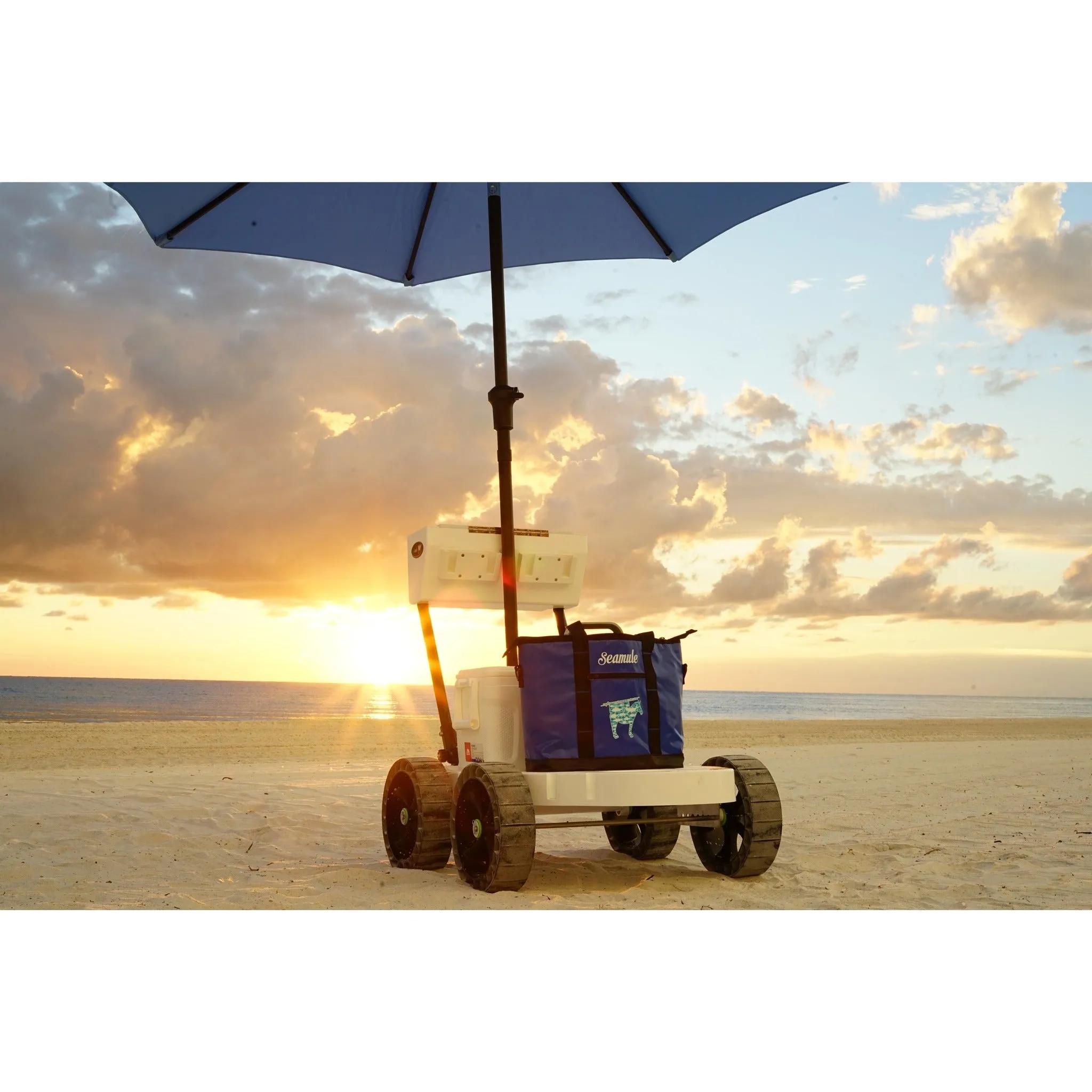 Seamule Beach Cart
